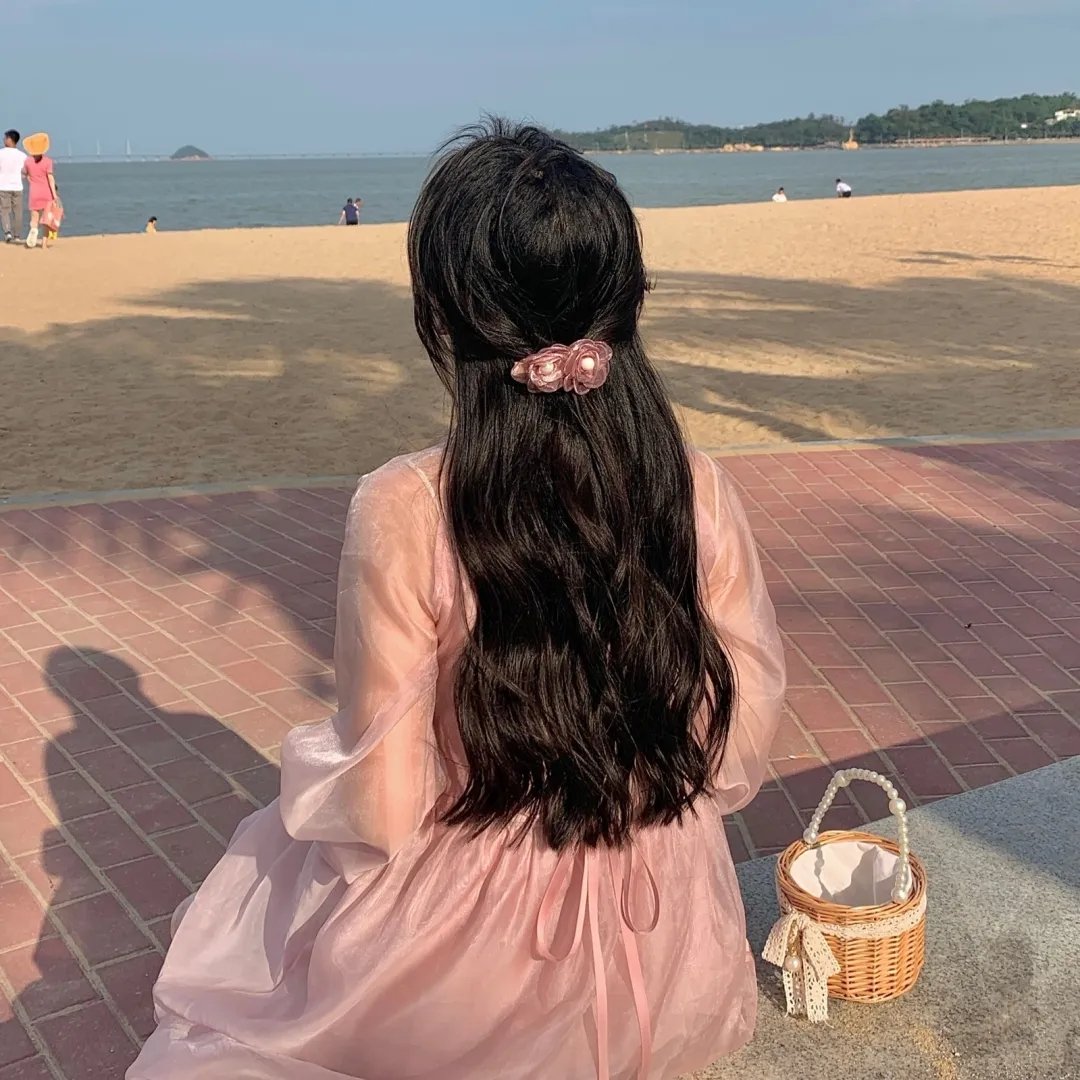 白鹭